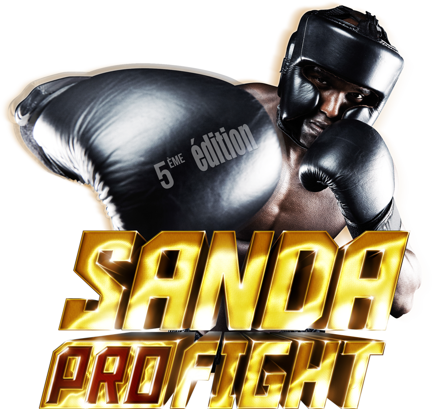 boxeur et logo de Sanda proFight